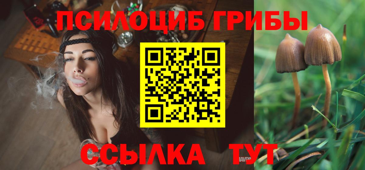 Вышний Волочёк  Галлюциногенные грибы ЛСД  Вход с VPN  Псилоцибиновые грибы прущие грибы 