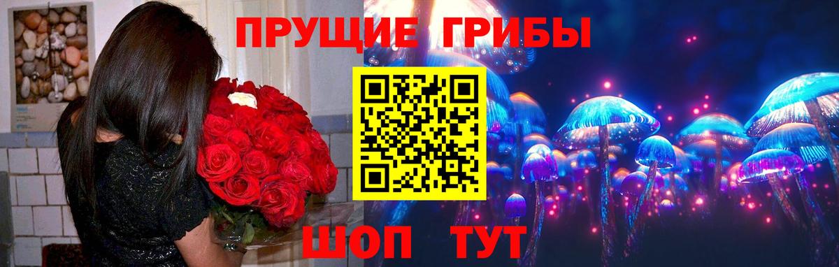 Галлюциногенные грибы Psilocybine cubensis Вышний Волочёк