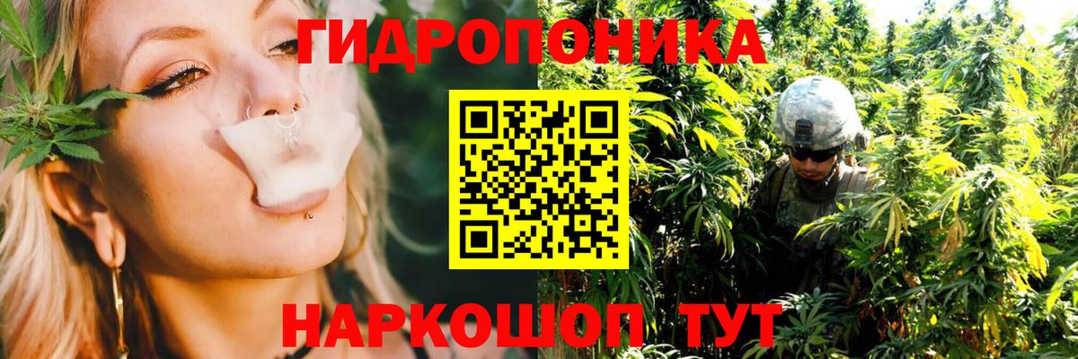 Марихуана VHQ  Вход с VPN  МАРИХУАНА сатива  Бошки марихуана сатива  Вышний Волочёк 